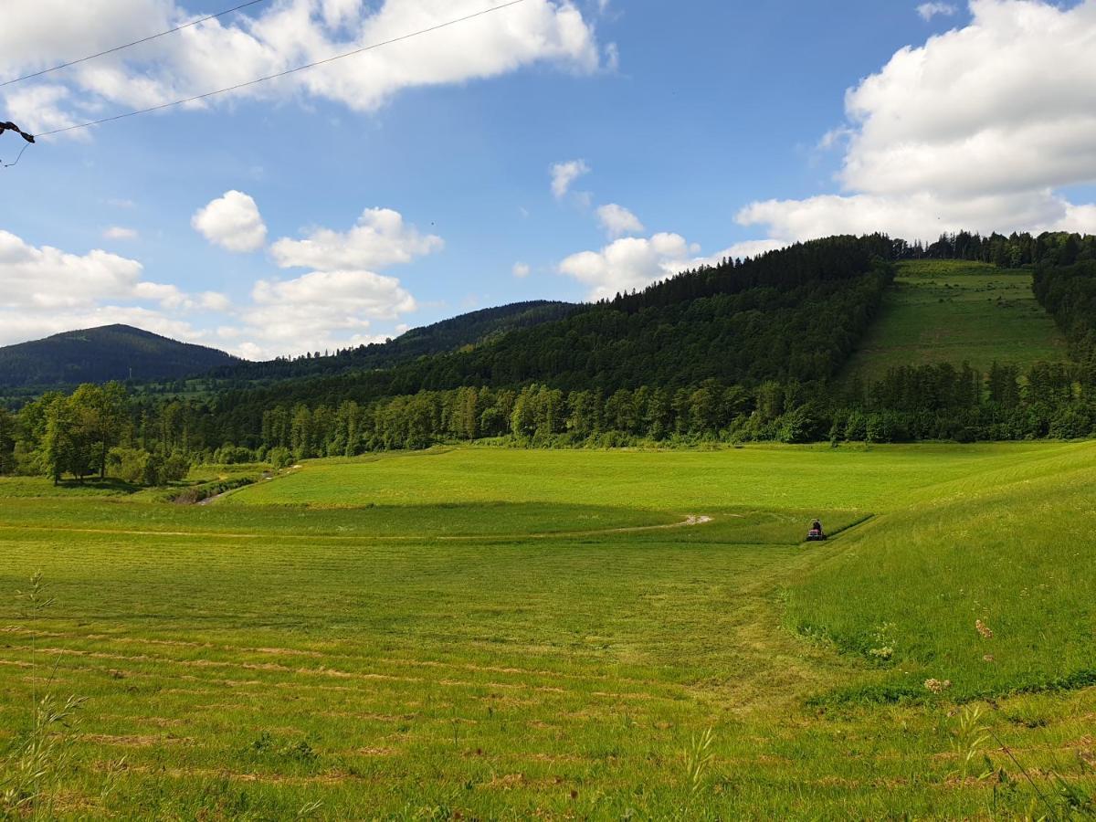 Apartament Stok O Krok Stronie Śląskie Exteriör bild